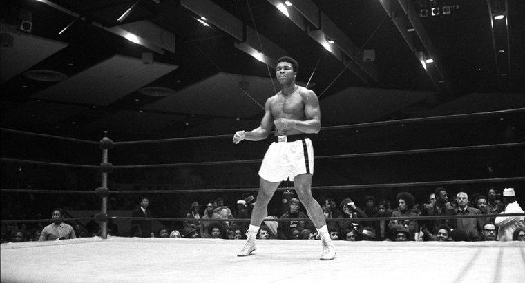 ¿Cuáles son algunos de los logros de Muhammad Ali?