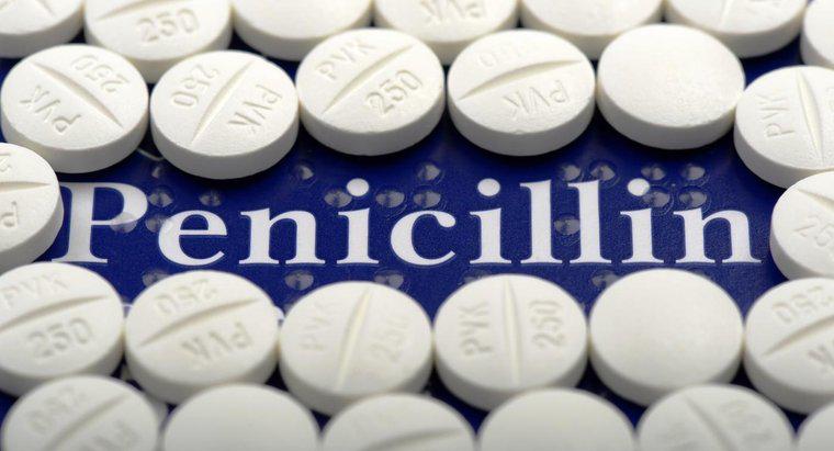 ¿Qué hace la penicilina?
