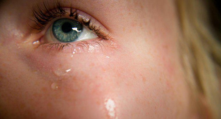 ¿Por qué las lágrimas son saladas?