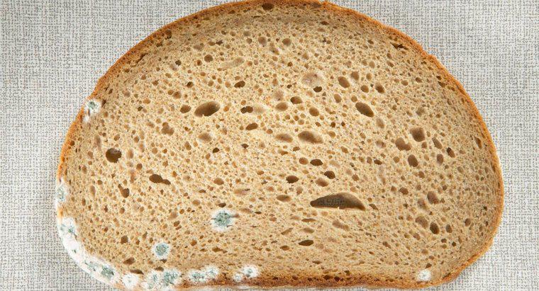 ¿Cuáles son los peligros de comer pan mohoso?