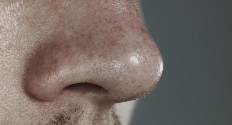 ¿Qué causa las llagas dentro de la nariz?
