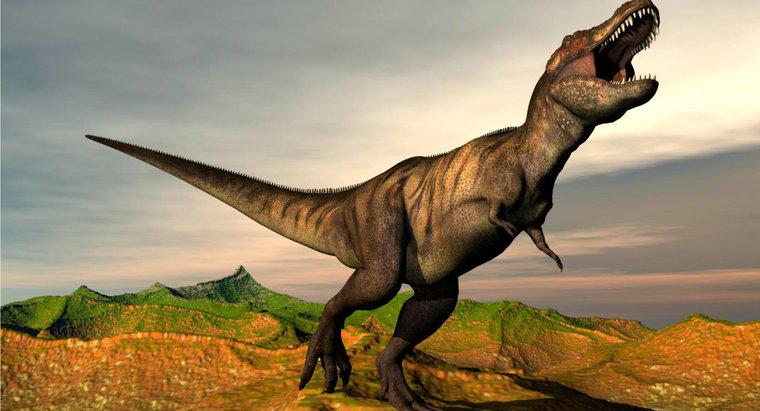 ¿Cuáles son algunos hechos sobre el Tyrannosaurus Rex?