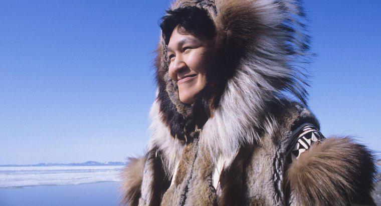 ¿Cuáles son algunos hechos acerca de la gente inuit?