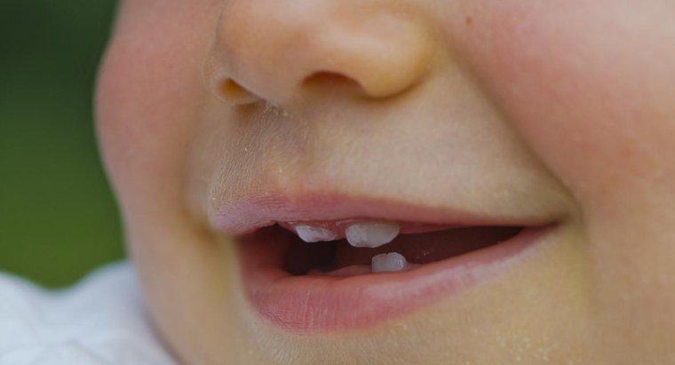 ¿Qué causa los dientes pequeños?