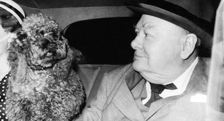 ¿Quién fue Winston Churchill y por qué fue famoso?