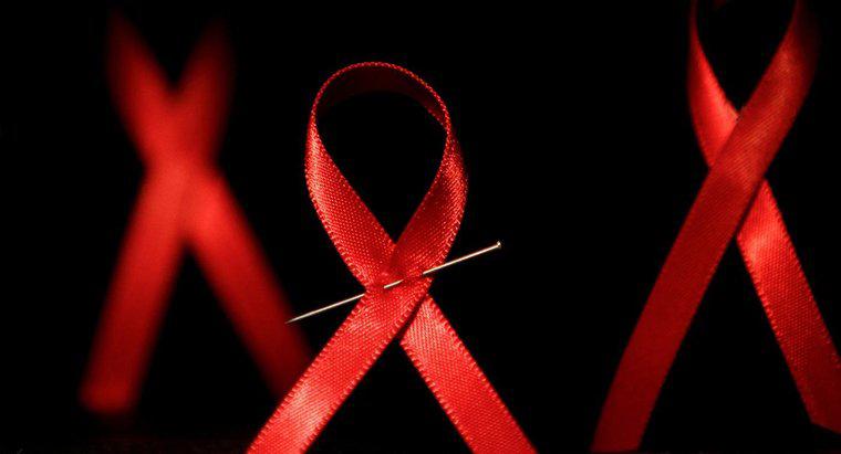 ¿Quién es la persona VIH positiva más longeva?
