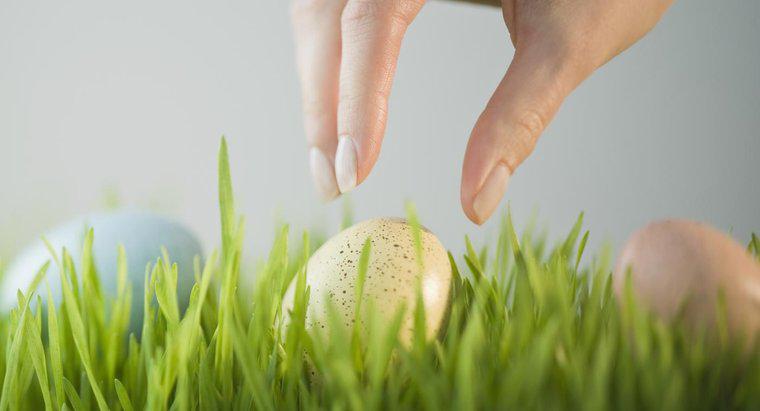 ¿Cuáles son algunas ideas de búsqueda de huevos de Pascua para adultos?