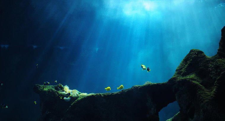 ¿Qué sucede en las trincheras del océano profundo?