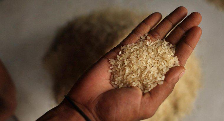 ¿Cuánto pesa un solo grano de arroz?