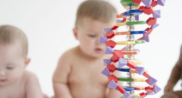 ¿Pueden los trastornos genéticos saltar generaciones?