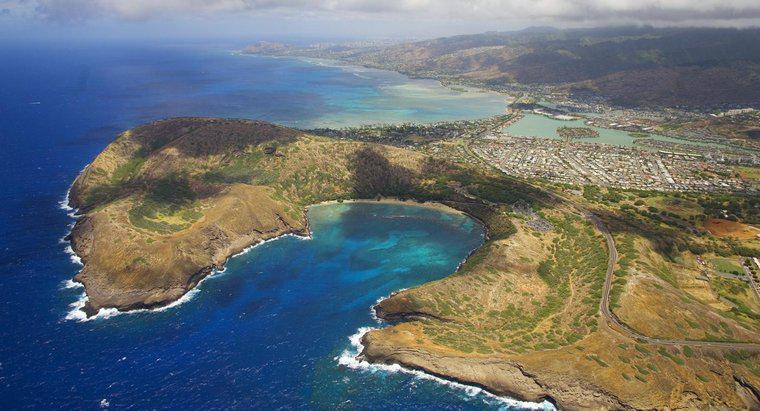 ¿Qué estado se debe al norte de Hawai?