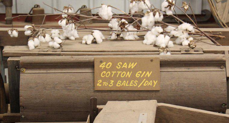 ¿Qué hizo la ginebra de algodón?
