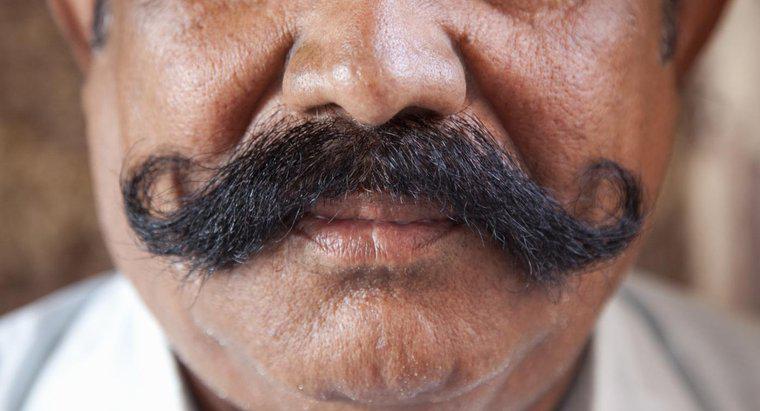 ¿Cuánto tiempo se tarda en crecer un bigote?