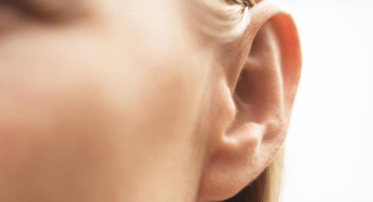 ¿Cuáles son los remedios caseros para la eliminación segura de la cera del oído?