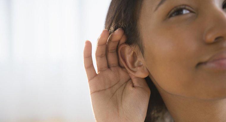 ¿Qué te hace escuchar tu latido en tus oídos?