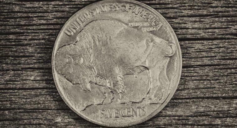 ¿Dónde puede encontrar el valor de un níquel búfalo 2005?