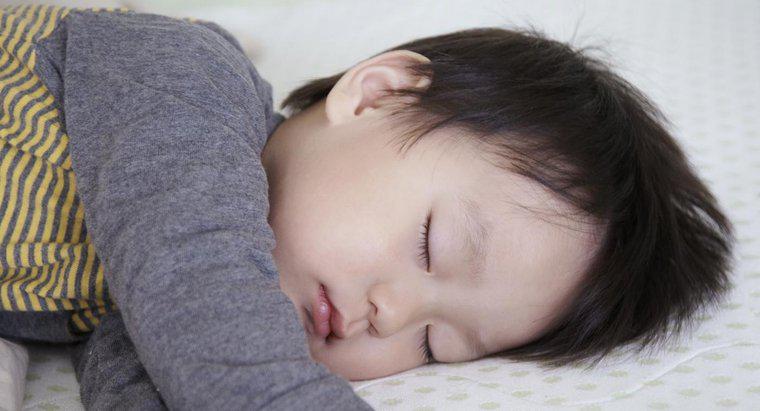 ¿En qué duermen los japoneses?