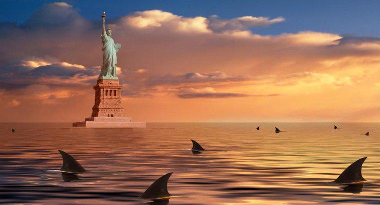 ¿Qué muerde a más personas: tiburones o neoyorquinos?