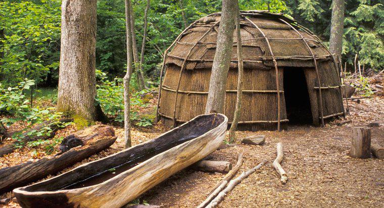 ¿Cómo era el clima en el área donde vivían los iroqueses?