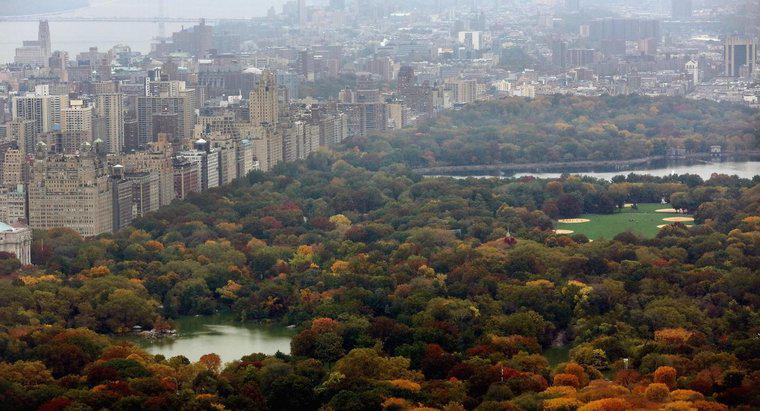 ¿Cuál es el tamaño de Central Park en Nueva York?
