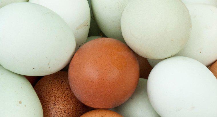 ¿Cuál es la superstición sobre encontrar un huevo sangriento?