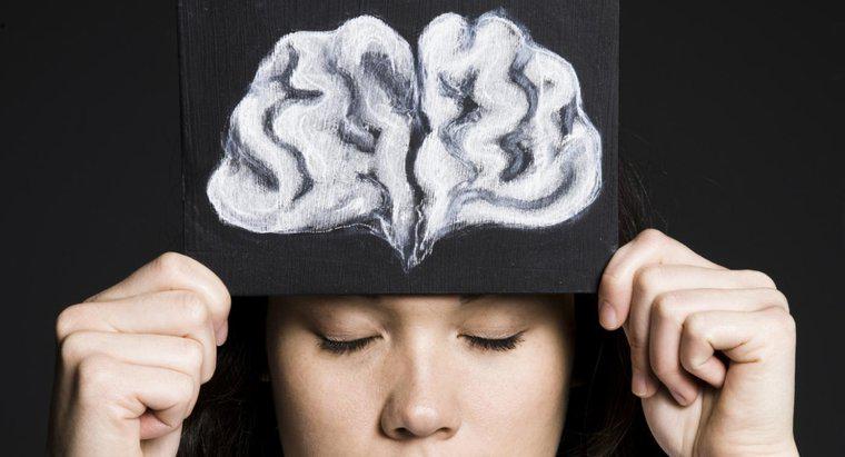 ¿Cuál es la función del lóbulo frontal del cerebro?