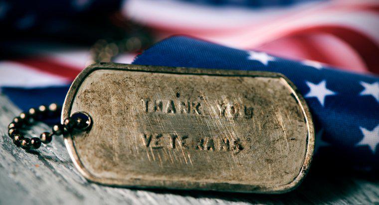 Vacaciones 101: ¿Por qué celebramos el Día de los Veteranos?
