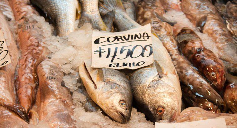 ¿Cómo se cocina el pescado Corvina?