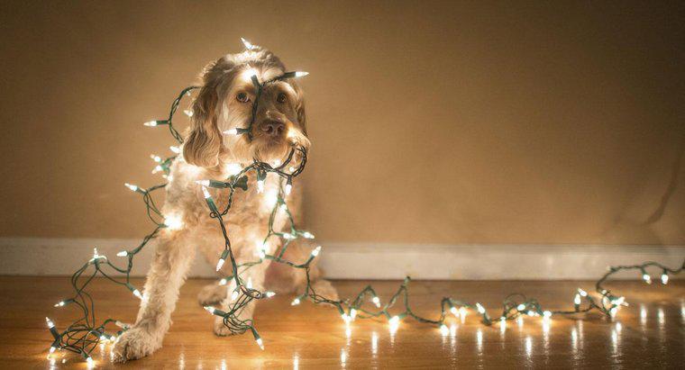 ¿Cómo hacer luces de Navidad Twinkle?