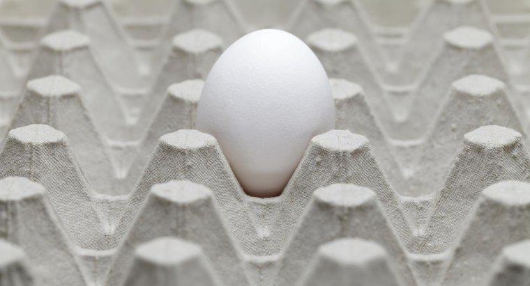¿Qué causa un olor a huevo podrido en una casa?