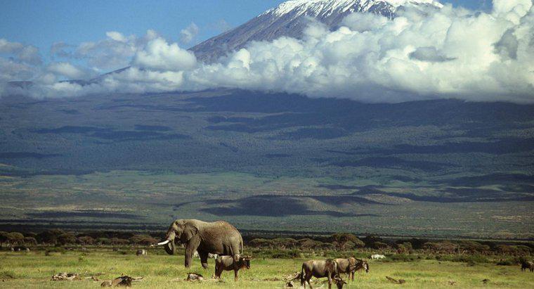 ¿Cómo se formó el monte Kilimanjaro?