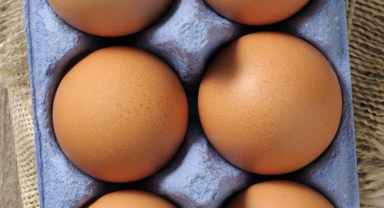 ¿Cuánto tiempo permanecen los huevos buenos?