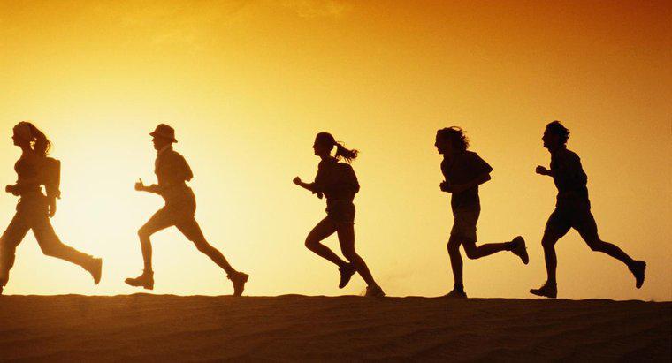 ¿Cómo desafía el ejercicio la homeostasis?