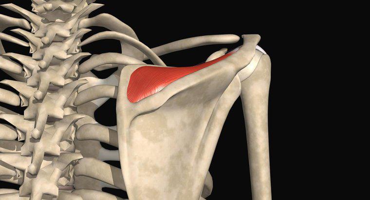 ¿Qué es un pequeño desgarro del tendón supraespinoso distal intersticial?
