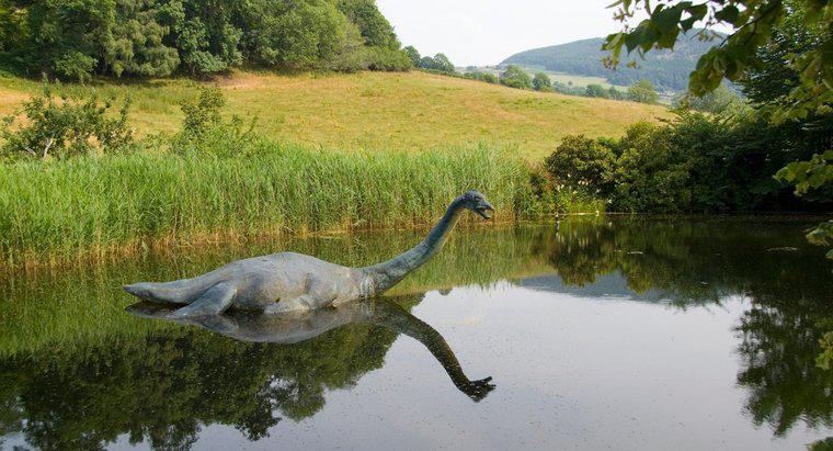 ¿Dónde vive el monstruo de Loch Ness?
