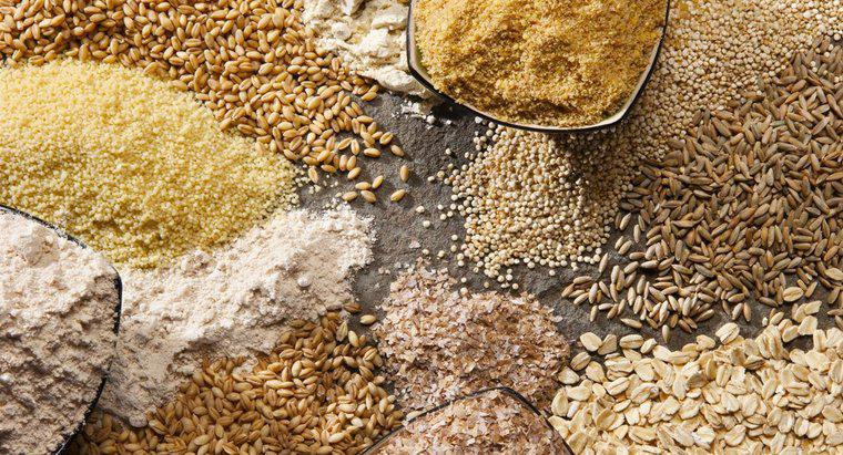 ¿Cuál es la diferencia entre la avena y el trigo?