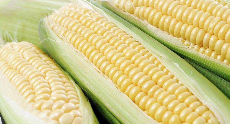 ¿Es el maíz considerado un vegetal?