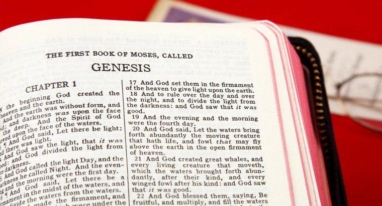 ¿Cuáles son los primeros cinco libros de la Biblia?