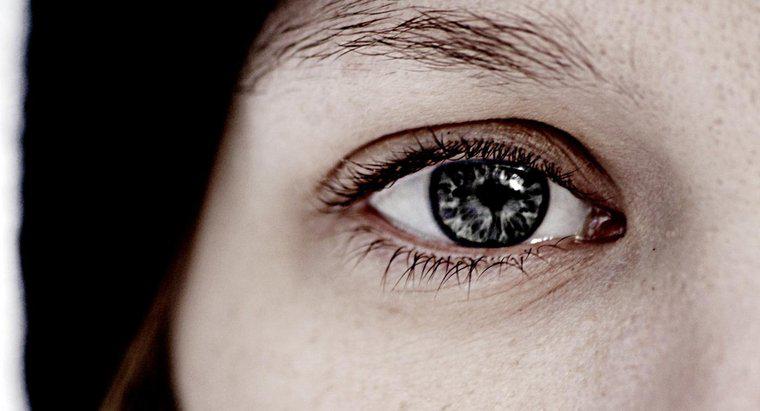 ¿Qué es el iris del ojo?