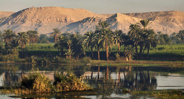 ¿Dónde vivían la mayoría de los antiguos egipcios?