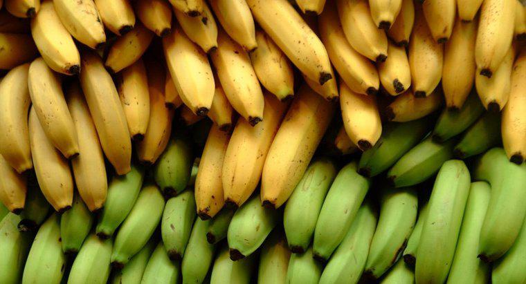 ¿Los plátanos son buenos para los diabéticos?