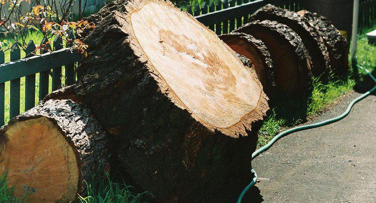 ¿Para qué se utiliza la madera de alerce?