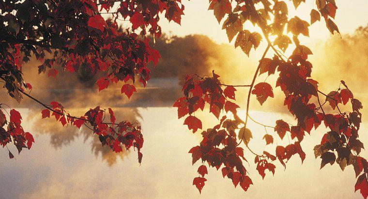 ¿Qué meses en América del Norte se consideran otoño?