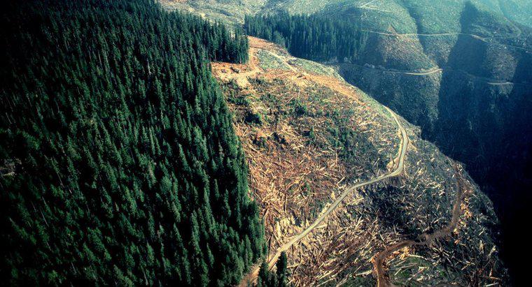 ¿La deforestación y la erosión del suelo causan inundaciones y sequías?