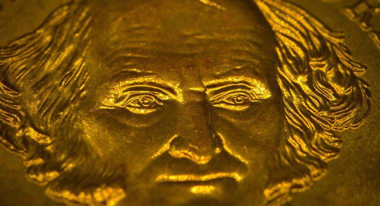 ¿Qué es una moneda de dólar Martin van Buren?