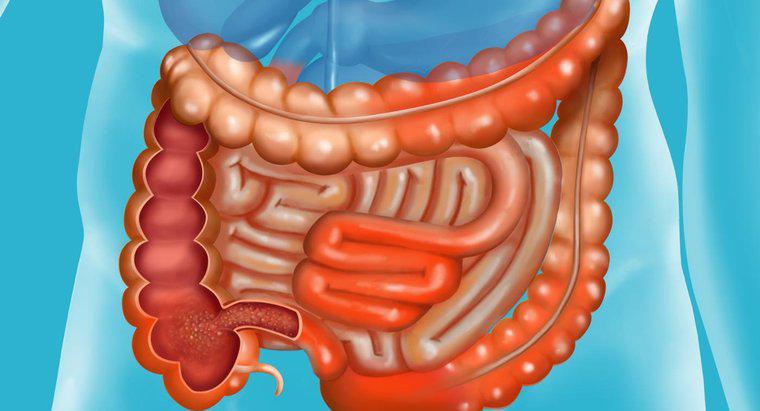 ¿Cuál es el pronóstico de la enfermedad de Crohn?