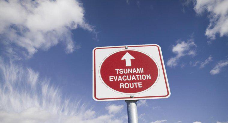 ¿Cómo te preparas para un tsunami?