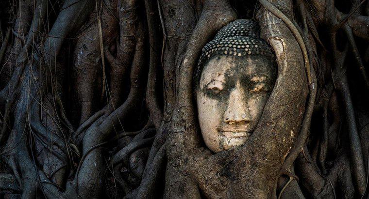 ¿Cuál es el significado del Buda que llora?