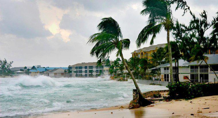 ¿Qué tan rápido viajan los huracanes?