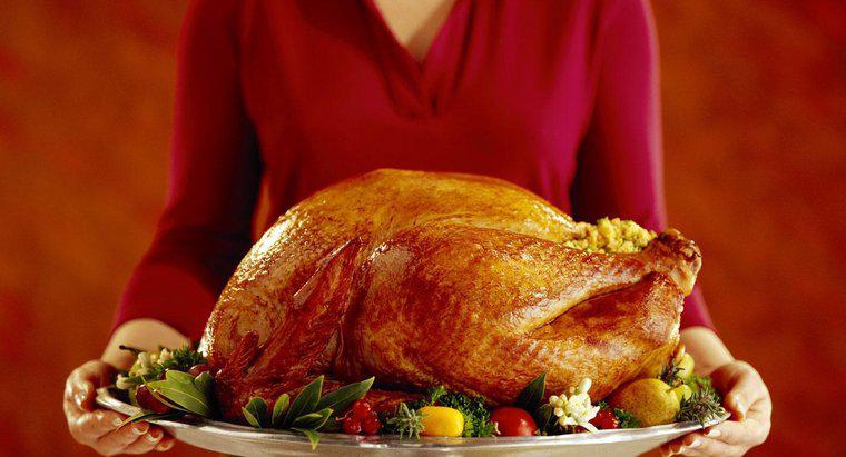 ¿Por qué se sirve Turquía para el Día de Acción de Gracias?